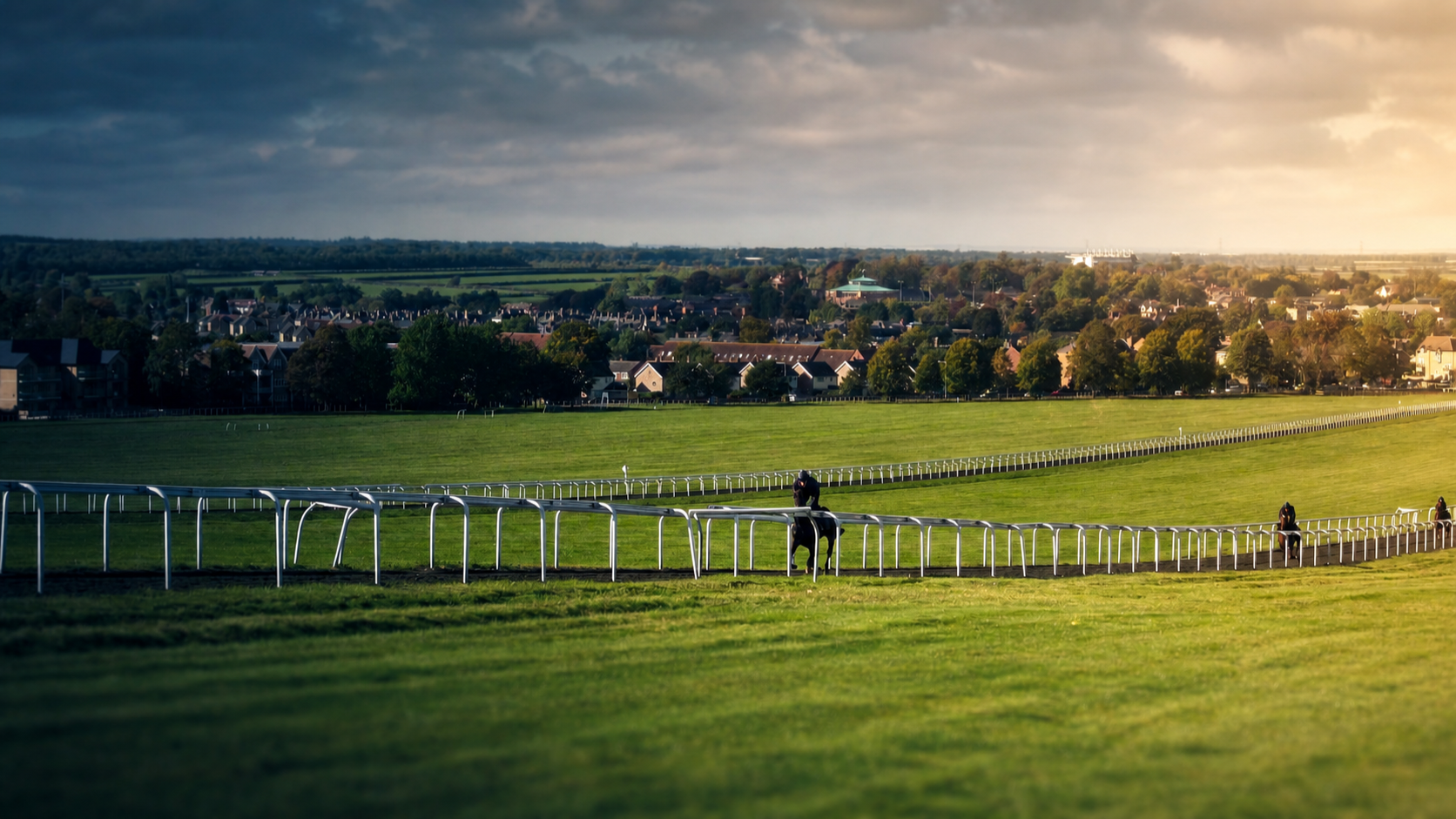 Racehorses exercising on the Long Hill training grounds at Newmarket