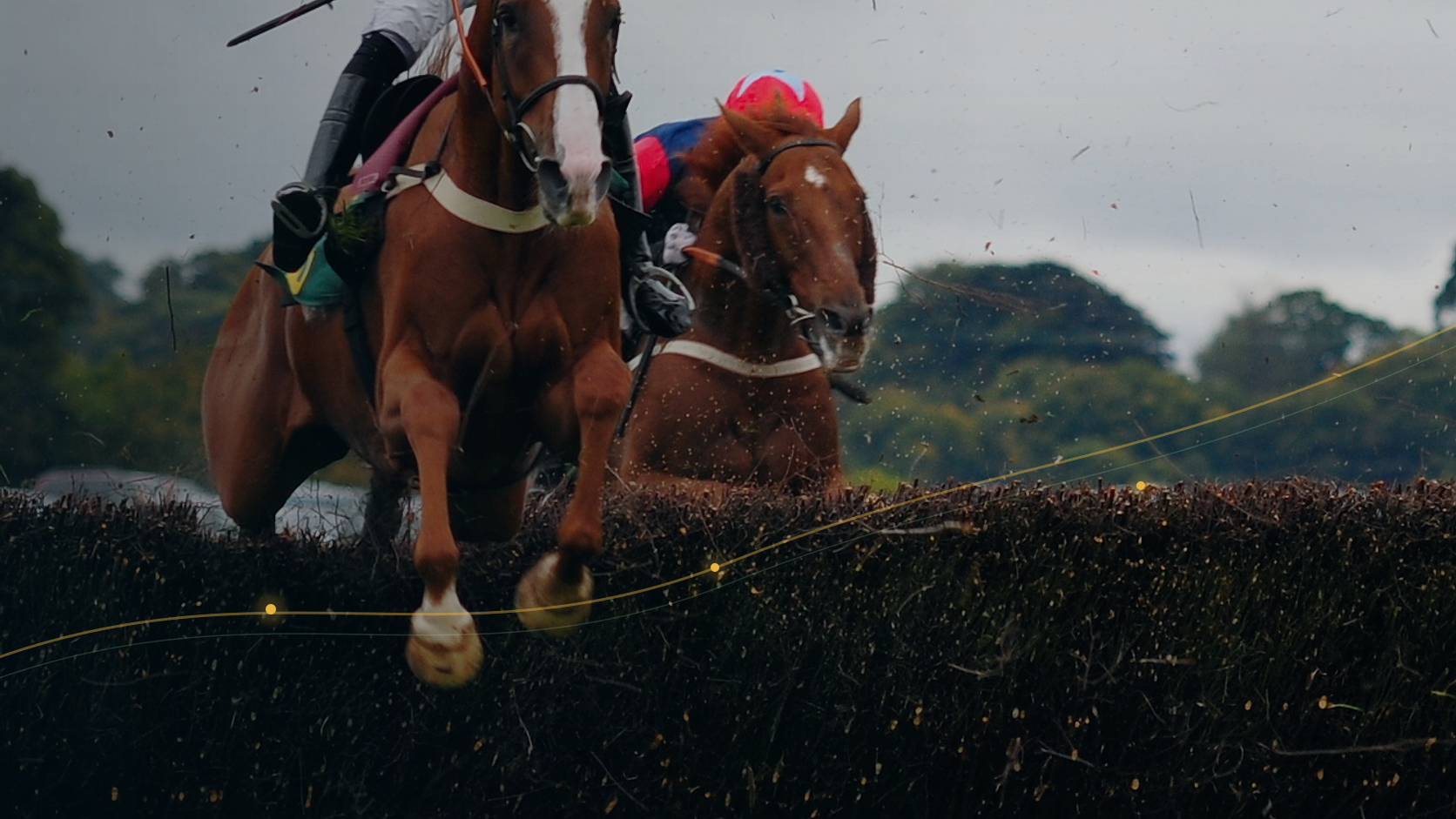 Two racehorses jumping a steeplechase fence