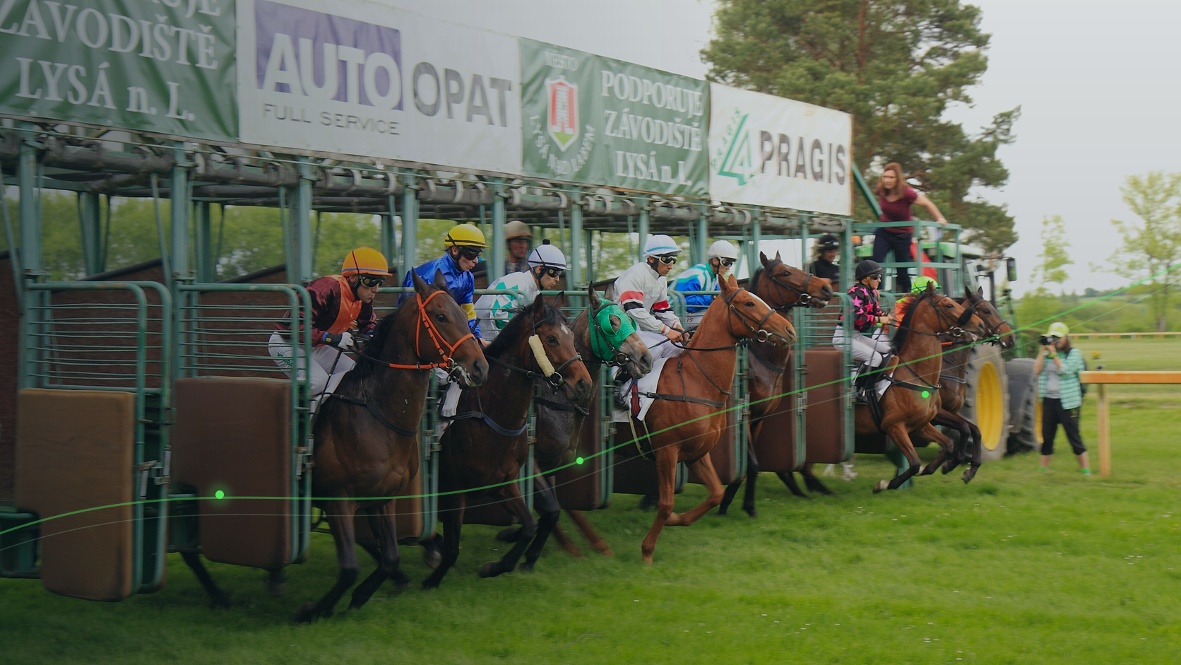 A field of racehorses leaving the starting stalls