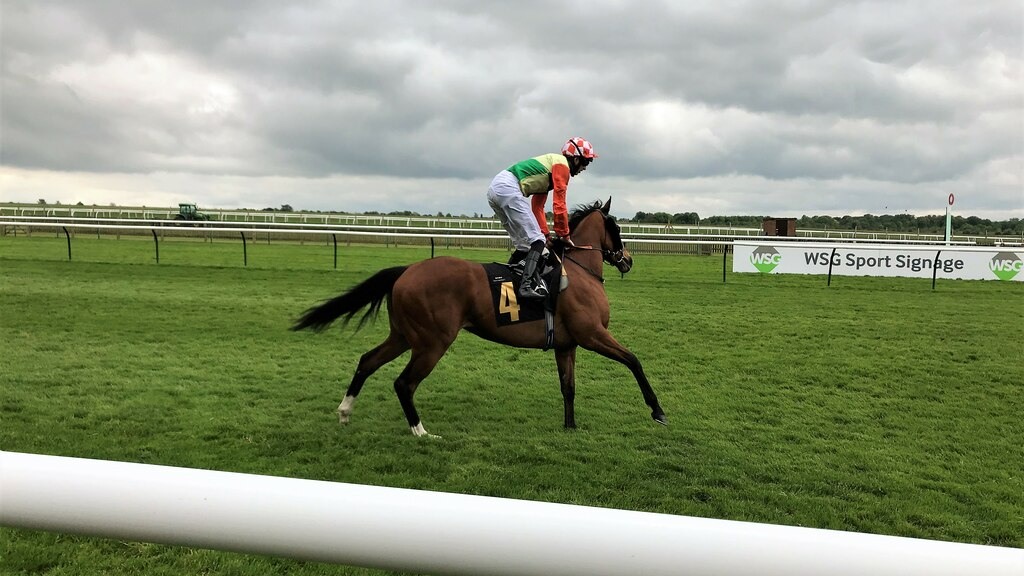 A horse and jockey cantering towards the starting stalls at Newmarket's Rowley Mile in May 2021